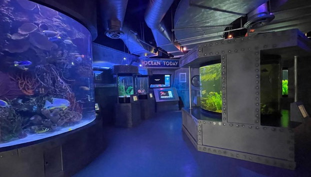 Houston City Tour & Aquarium - Foto 4